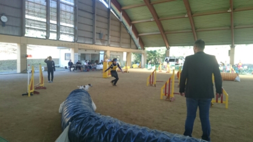 wp-1445140661717 image