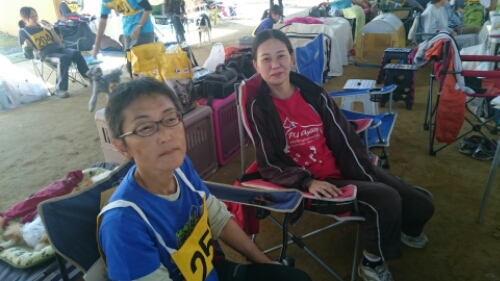 wp-1445140691725 image