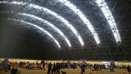 wp-1448173505797 image