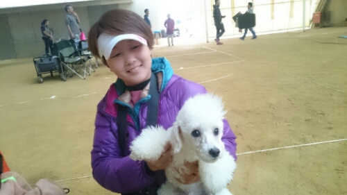 wp-1448173605324 image