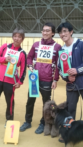 wp-1448173703146 image