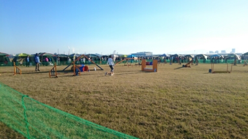 wp-1450569265153 image