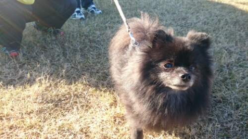 wp-1450570750815 image