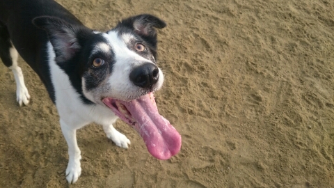 wp-1457479472991 image